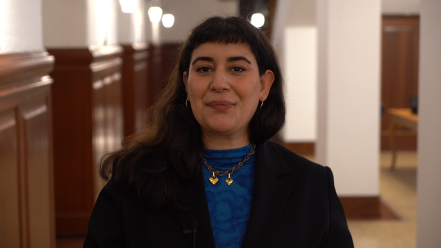 Telli Karacan 